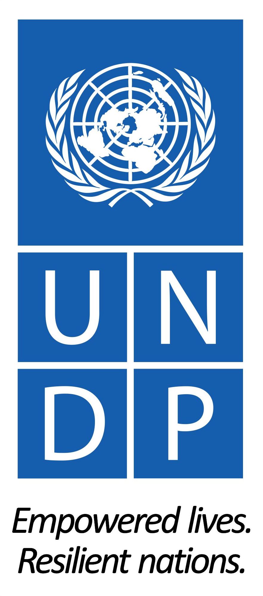 UNITED NATIONS DEVELOPMENT PROGRAMME - UNDP BIH